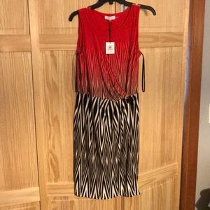 NWT Calvin Klein chic dress